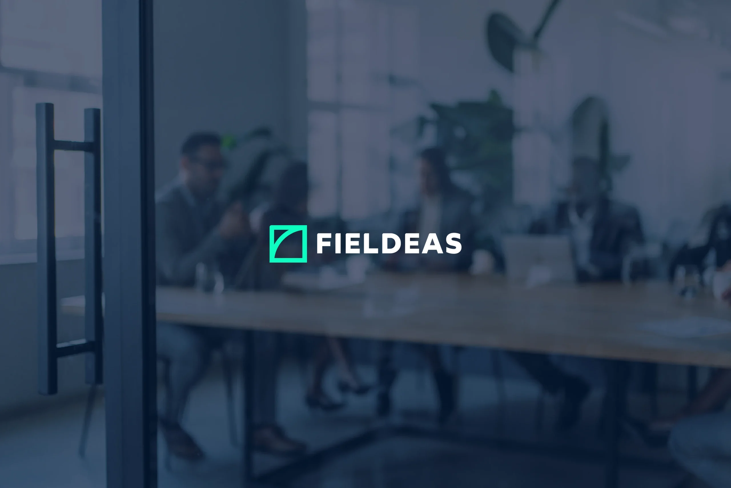 FIELDEAS Spanish technology company