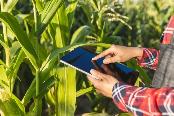 Online forms in the agri-food sector_FIELDEAS Forms